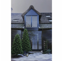 Hausfassade mit Weihnachtsbäumen und Dekoration im Außenbereich