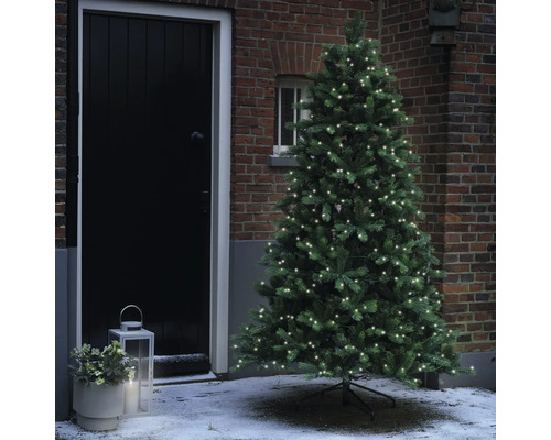 Geschmückter Weihnachtsbaum vor einem Haus mit einer Laterne und Pflanzen