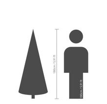 Größenvergleich: Baum und Mensch, beide 180 cm