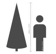 Größenvergleich: Tannenbaum (240 cm) und Mensch (180 cm)