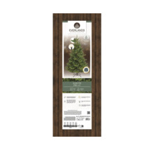 Everlands Alba Tanne, beleuchteter künstlicher Weihnachtsbaum Produktverpackung