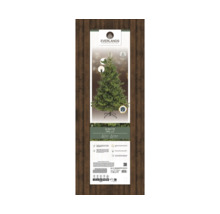 Everlands Alba Tanne, beleuchteter künstlicher Weihnachtsbaum, Höhe 2.1 Meter