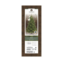 Verpackung einer Alba-Tanne mit Beleuchtung