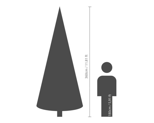 Größenvergleich: Tannenbaum mit 360 Zentimeter Höhe neben einer Person mit 180 Zentimeter Höhe