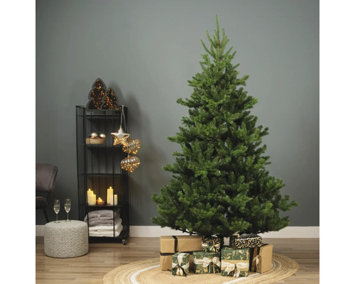 Dekorierter Weihnachtsbaum mit Geschenken im Wohnzimmer