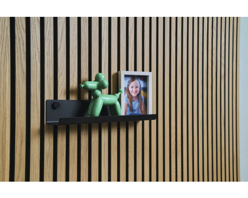 Wandpaneel mit Regal, Ballonhundfigur und Bilderrahmen