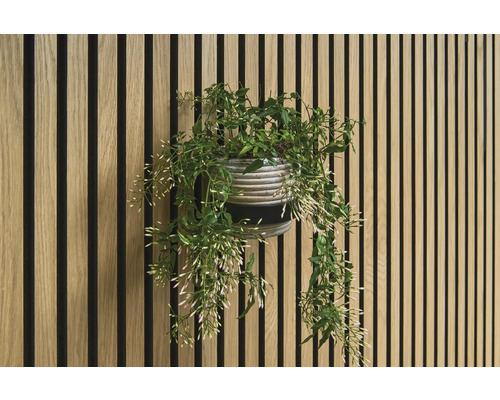 Dekorative Wand mit Holzpaneelen und Topfpflanze