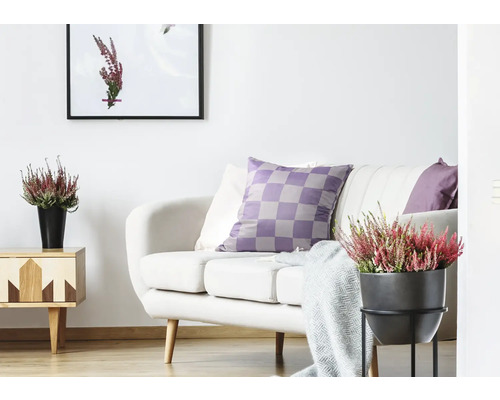 Heller Wohnraum mit Sofa, Kissen, Beistelltisch und Zimmerpflanzen