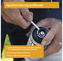Entfernen der Sprühsicherung an einer Sprühdose mit einem Schraubendreher