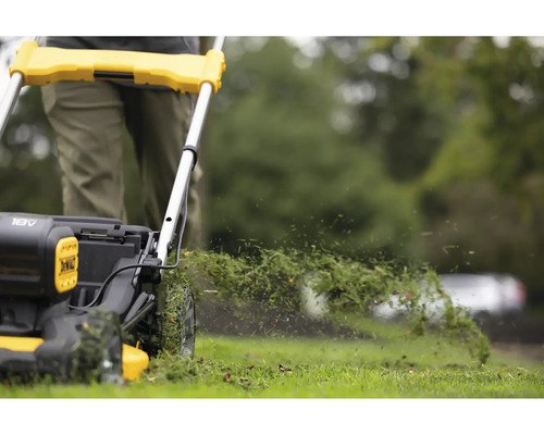 Rasenmäher im Einsatz beim Rasen schneiden
