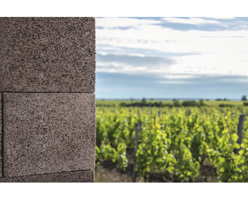 Nahaufnahme von Holzbetonsteinen vor einem Feld