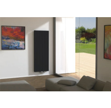 Modernes Wohnzimmer mit Designheizkörper, Sofa und Gemälden
