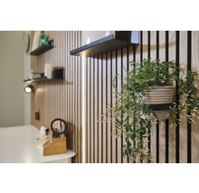 Zimmeransicht mit Holzpaneelen, schwarzen Regalen und hängender Grünpflanze im Topf