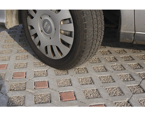 Ein Auto parkt auf Rasengittersteinen.