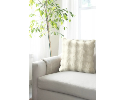 Dekoratives Kissen auf einem Sofa neben einer Zimmerpflanze.