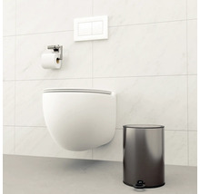 Szene mit einer wandhängenden Toilette, einem Toilettenpapierhalter, einer Betätigungsplatte und einem Treteimer vor einer gefliesten Wand.