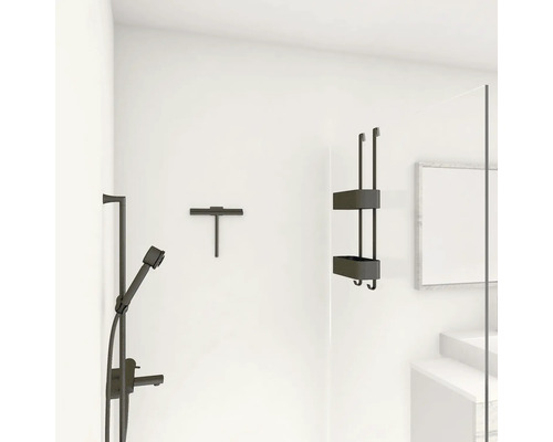 Badezimmer mit Duscharmatur, Abzieher und Duschregal