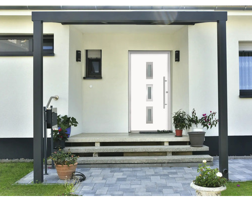 Eingangsbereich eines Hauses mit Haustür, Treppe und Pflanzen