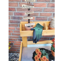 Gartenszene mit Kräutergarten Schild, Handschuhen und Blumen auf einem Gartentisch