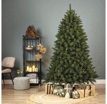 Dekorierter Weihnachtsbaum mit Geschenken auf einem geflochtenen Teppich in einem Wohnzimmer.