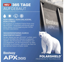 Informationen zur Winterfestigkeit des Bestway APX365 Pools mit Polarbär Symbol