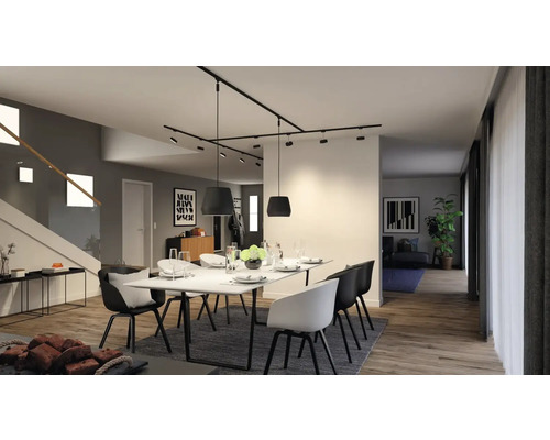 Esszimmer mit Esstisch, Stühlen, Teppich und Schienenstrahler an der Decke.