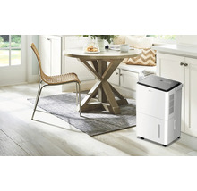 Wohnraum mit Luftentfeuchter, Esstisch, Stuhl und Teppich