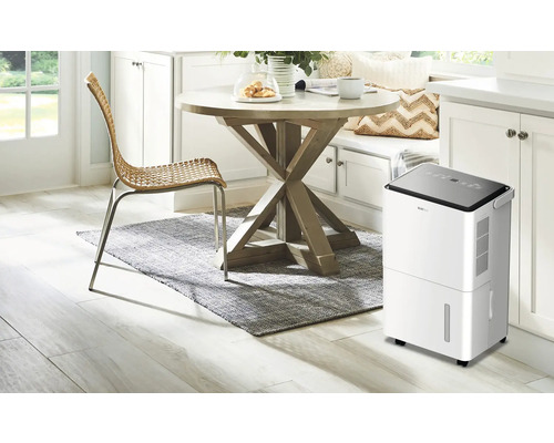 Wohnraum mit Luftentfeuchter, Esstisch, Stuhl und Teppich