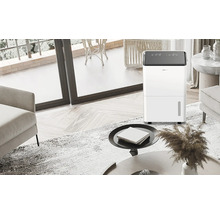 Luftentfeuchter in einem modern eingerichteten Wohnzimmer