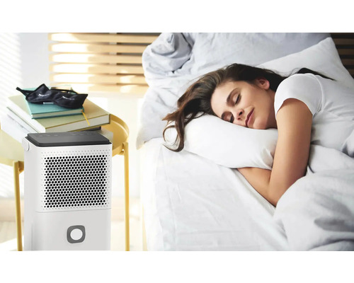 Szene mit einem Luftentfeuchter neben einem Bett mit einer schlafenden Frau.