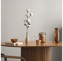 Dekoratives Arrangement mit Tisch, Baumwollzweig, Schale und Vorratsglas