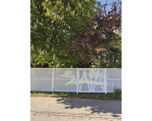 Weißer Lattenzaun mit Gartentor vor Bäumen