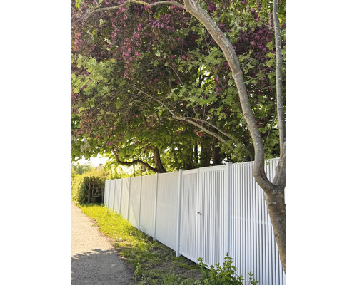 Weißer Zaun mit senkrechten Latten entlang eines Weges unter Bäumen