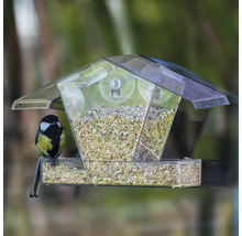 Vogel auf transparentem Vogelfutterhaus mit Saugnäpfen und Futter