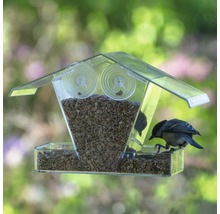 Transparente Vogeltränke mit Saugnäpfen zur Fensterbefestigung und einem kleinen Vogel, der frisst.