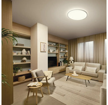 Wohnzimmer mit Regalen, Sofa, Sessel, Teppich und Deckenleuchte.