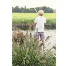 Junge mit Angelrute am Ufer eines Gewässers