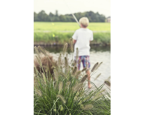 Junge mit Angelrute am Ufer eines Gewässers
