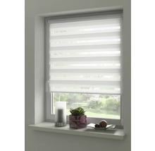 Fenster mit modernem, weißem Duo Rollo zur Lichtregulierung und Dekoration