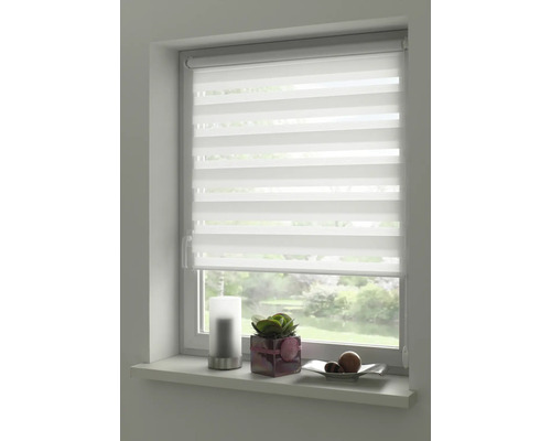 Fenster mit modernem, weißem Duo Rollo zur Lichtregulierung und Dekoration