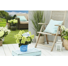 Gartenszene mit Hortensie in blauem Topf, Holzstuhl und Gartenmöbeln