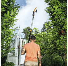 Mann benutzt eine Teleskop-Astschere im Garten, Gewächshaus im Hintergrund