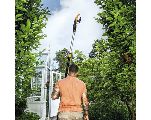 Mann benutzt eine Teleskop-Astschere im Garten, Gewächshaus im Hintergrund