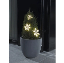 Dekorativer Nadelbaum im Pflanzkübel mit Schneeflockenlichterkette