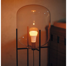 Stehlampe mit Glaskuppel und LED Lampe