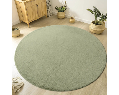 Runder Teppich im Wohnzimmer mit Kommode und Zimmerpflanzen
