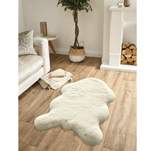 Wohnzimmer mit Sofa, Kamin, Zimmerpflanze und einem Teppich in Felloptik