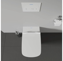 Aufnahme von oben einer Toilette mit Betätigungsplatte und Toilettenbürste