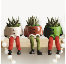 Drei dekorative Pflanzgefäße in Form von Figuren mit Sukkulenten auf einem Regal