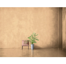 Szene mit Stuhl und Topfpflanze vor einer Wand